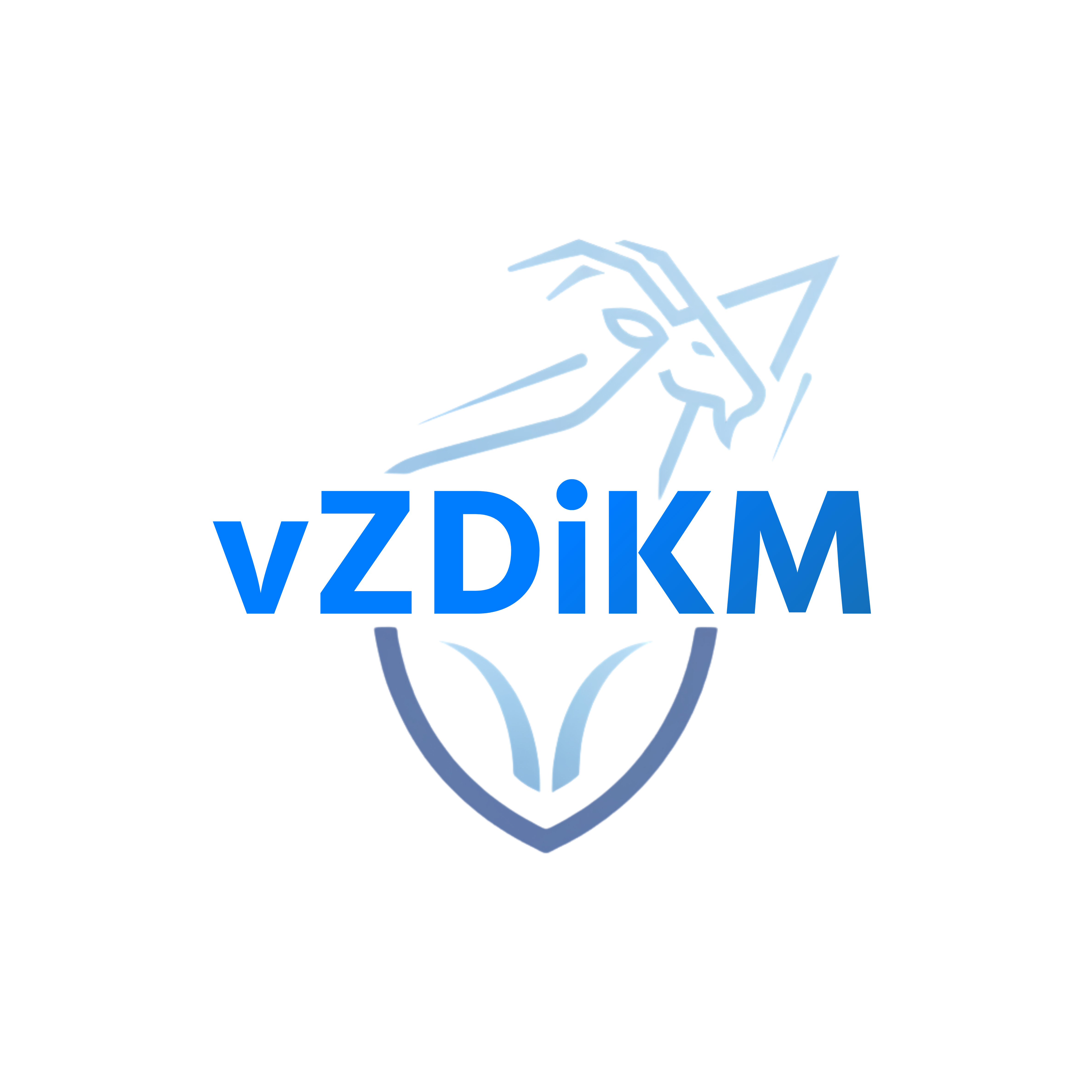 vMarketing